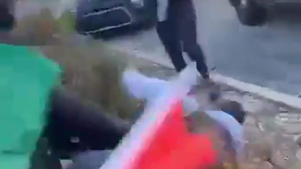 Pro-Palestinian Terrorists Attack Random Jewish Guy