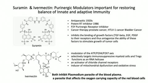 Dr. Judy Mikovits | mRNA-Modifying COVID-19 “Vaccines” Are Poison Shots