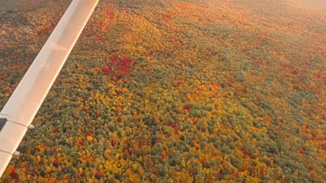 i went flying with my grandfather and took55somephotos of the flight