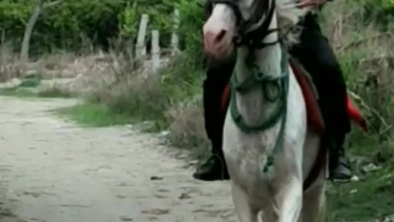Horse riding