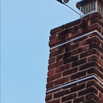 Birds 🐦 chimney