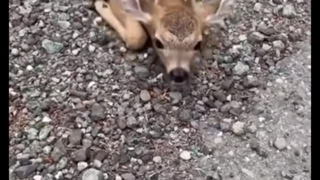Cute baby