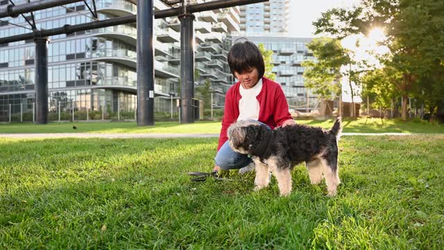 Dog with child