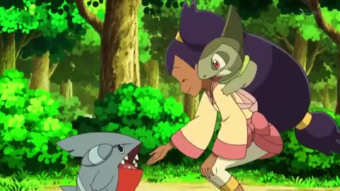 Iris catches Gible (JP)