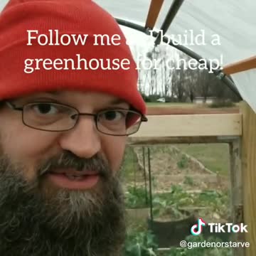 Greenhouse Update December 2