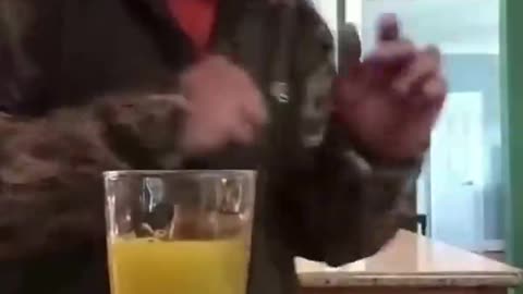 The end 😂😂😂 #funny #fails #shorts #viral