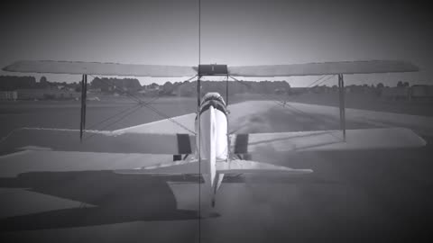 Tiger Moth