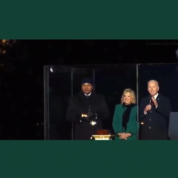 Let's go Brandon Christmas tree