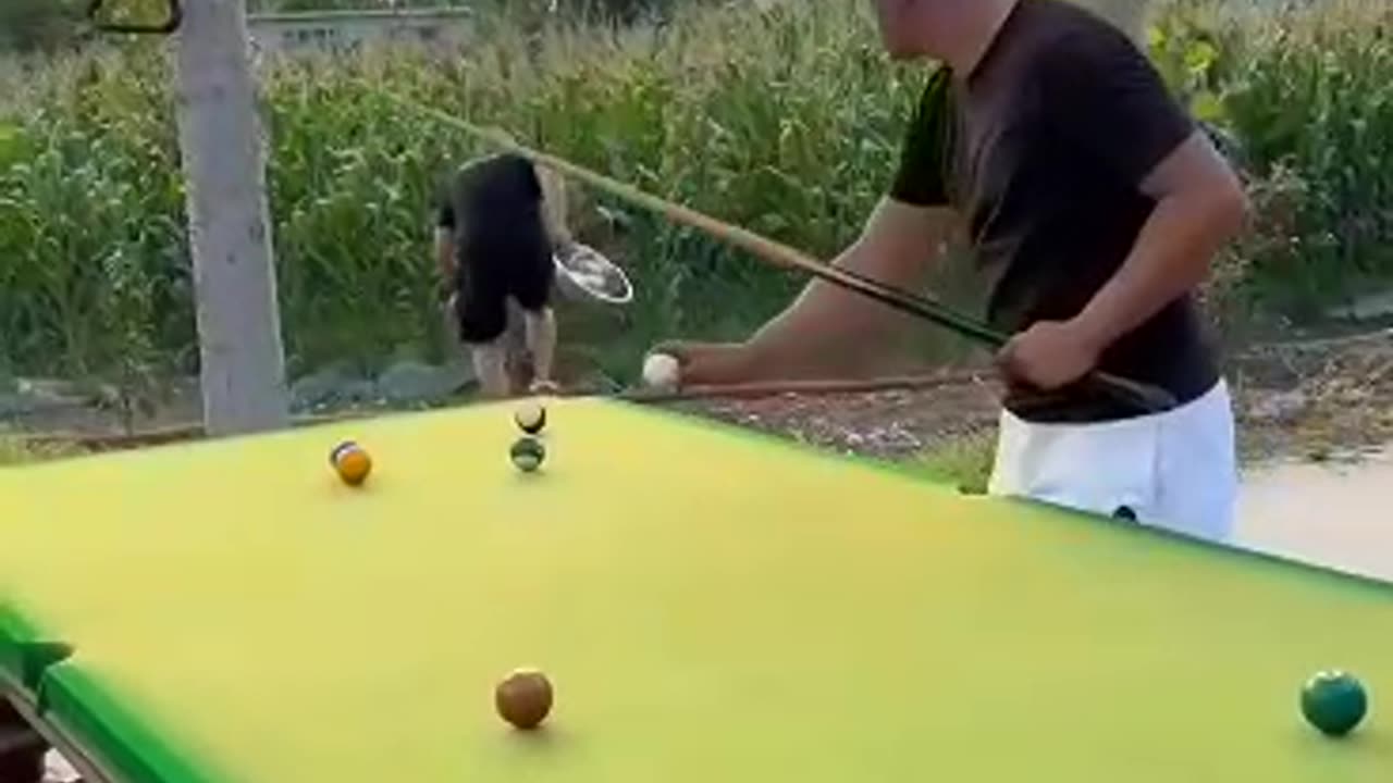 Funny Video Billiards million views|