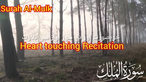 Surah Mulk Recitation in Heart Touching & Beautiful Voice