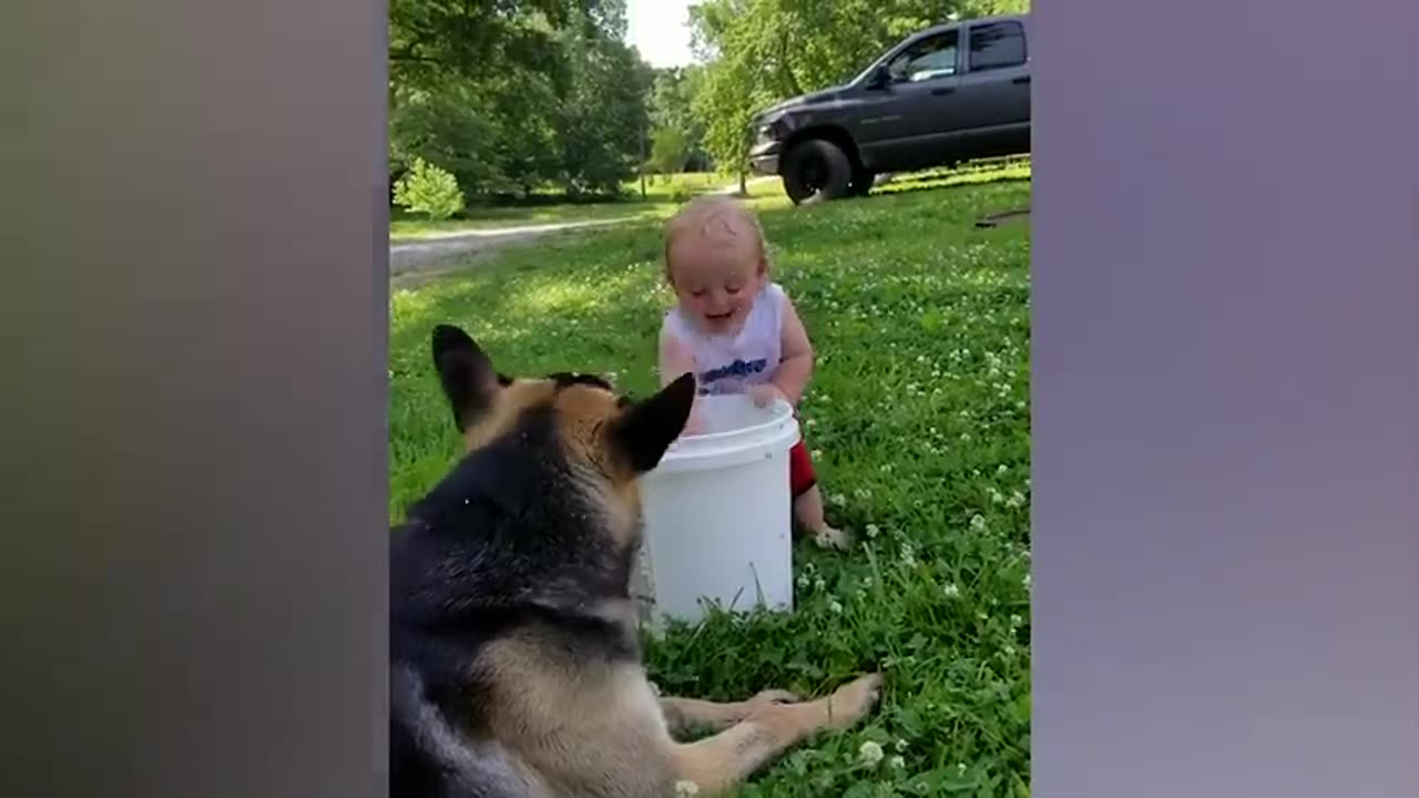 Funny cute Pets and Baby