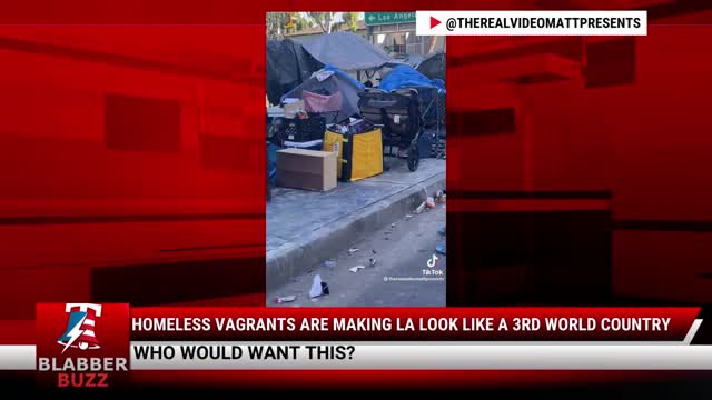 Homeless Vagrants Are Making LA Look Like A 3rd World Country