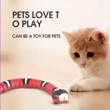 This toy is interactive and will make you have a lot of fun with your pet.