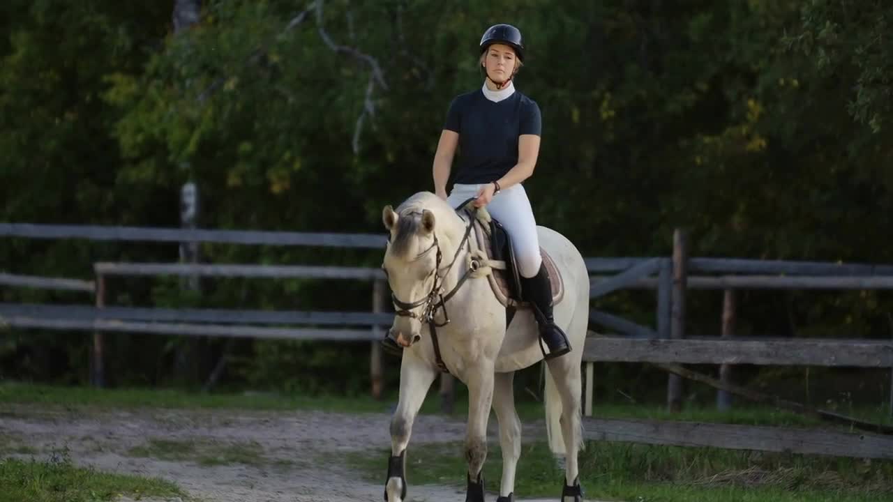 Professional girl rider galloping on a horse. Girl riding a horse on an arena at sunset