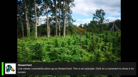 Ganja News Update Ep74