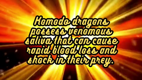 Animal Facts Komodo Dragons #shorts