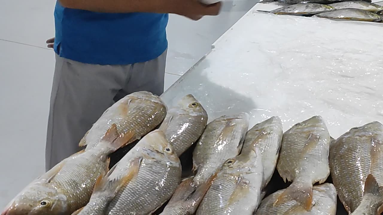 Fresh Fishes Available in Dubai