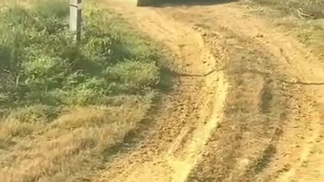 Indiyan armi galdi