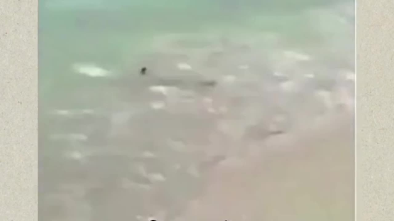 Life help in scene