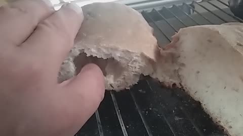 Ugly Bread Part 2