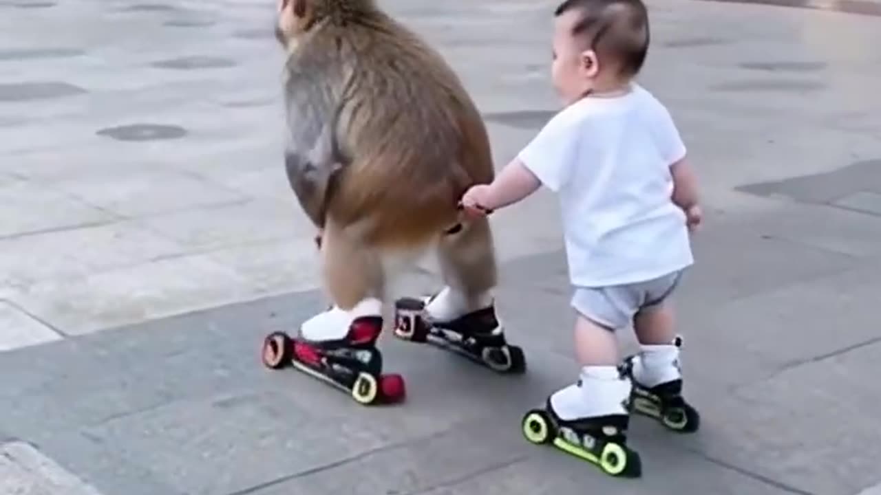 Monkey and baby