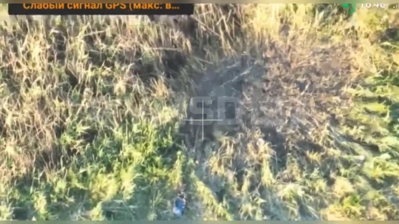 Vremsky ledge - neutralized Ukrainian armor