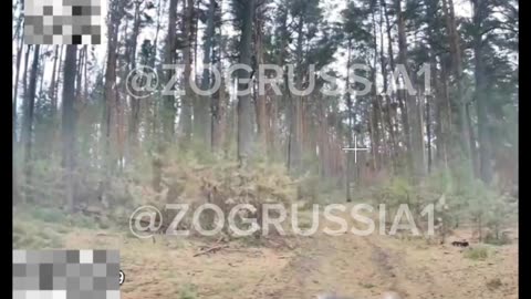 Kamikaze drones search for AFU equipment in the Kursk forests.