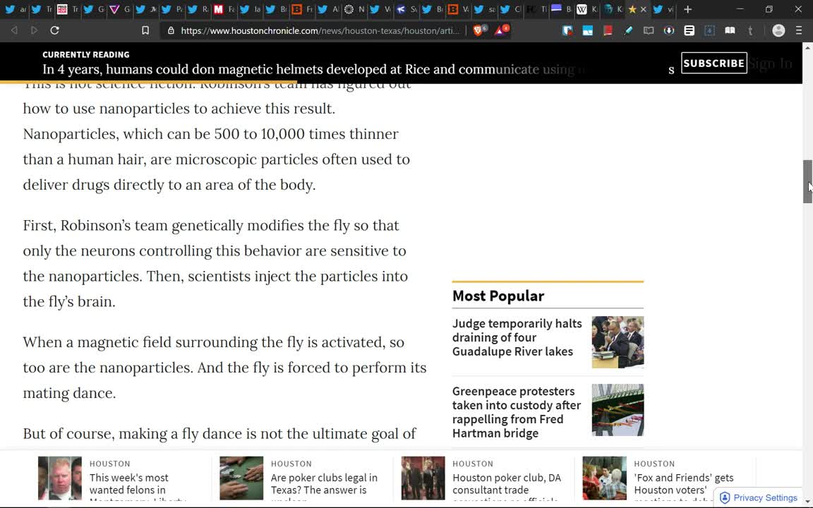 Хроники геноцида Белой Расы 13.09.19