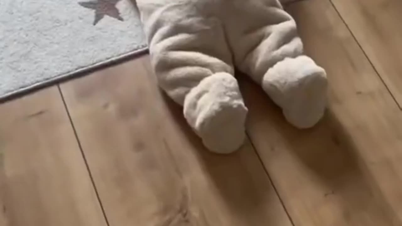 Baby funnies