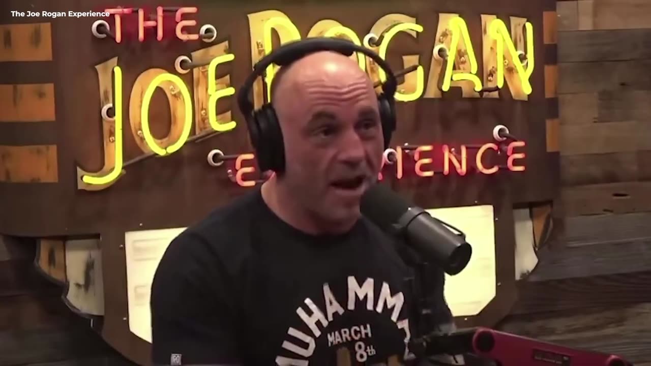 Joe Rogan Sees Something in College Protests That No One Else Sees