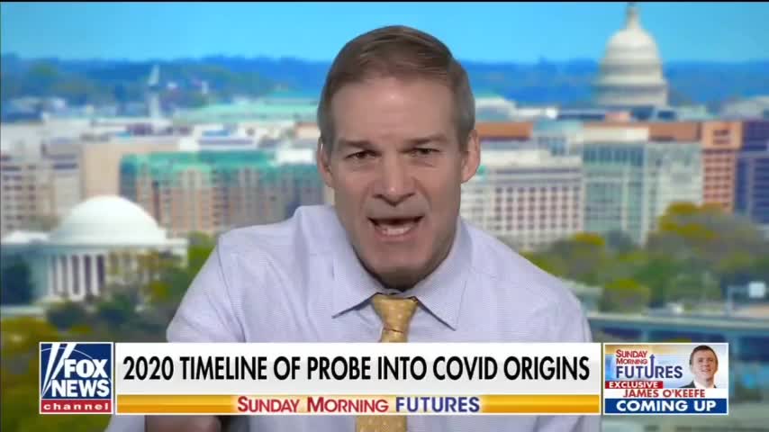 Rep. Jordan: We'll Investigate Fauci If GOP Controls Congress
