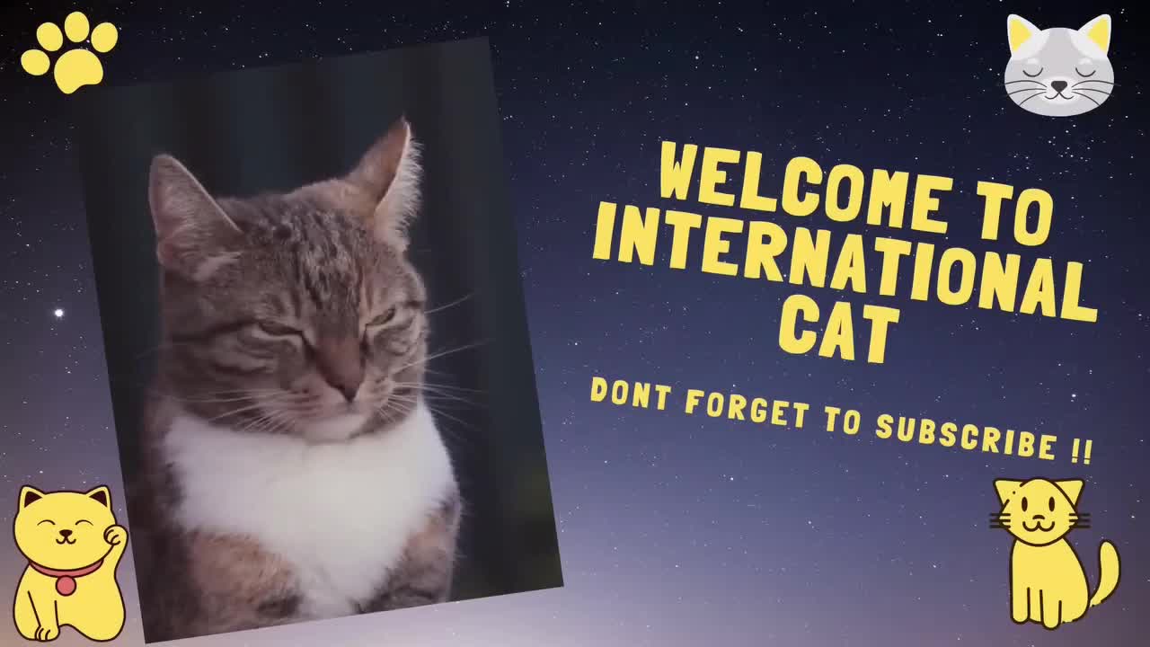 Cute video