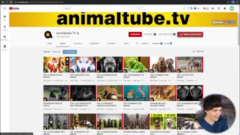 How to Make Money on YouTube Without Making Videos (Animal Videos)