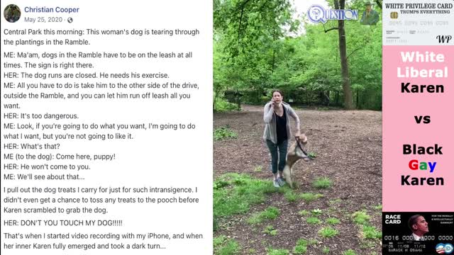 ICYMI - Karen vs Karen, Central Park NYC [White Lib vs Black Gay]