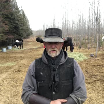 True Canadian Cowboy: It's Not The Critic That Counts😎