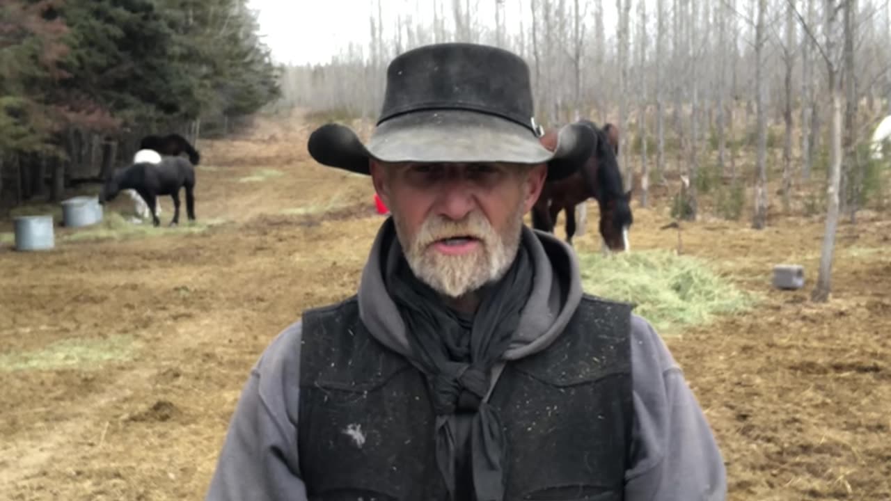 True Canadian Cowboy: It's Not The Critic That Counts😎