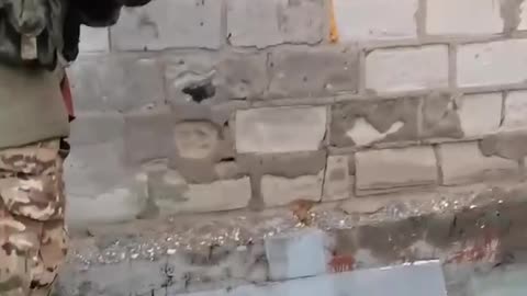 Zaluzhny is found
