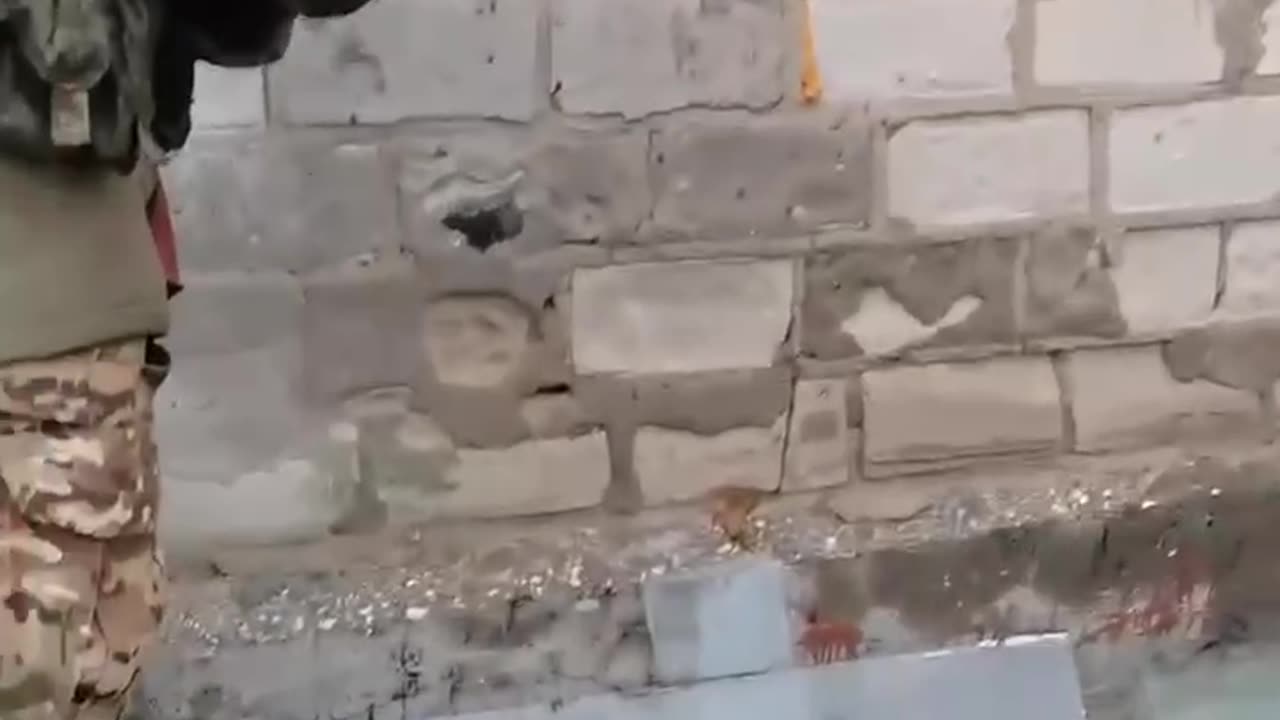 Zaluzhny is found