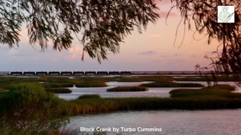 Black Creek by Turbo Cummins