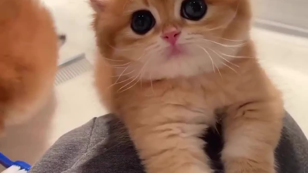 Those eyes🥺😻😍