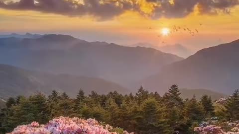 #Useful#Beautiful#Funny #Funny video#laugh# interesting#video#short video#short#short cut