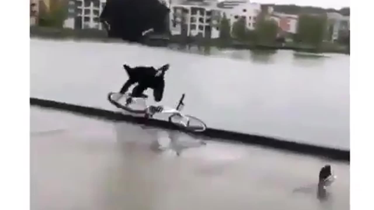 Very unexpected funny fall