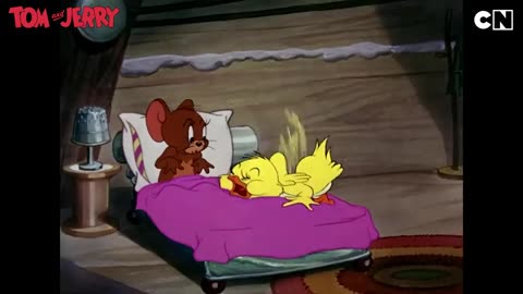 Tom and jerry