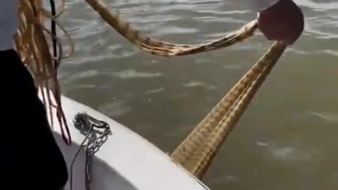 Catching Fish