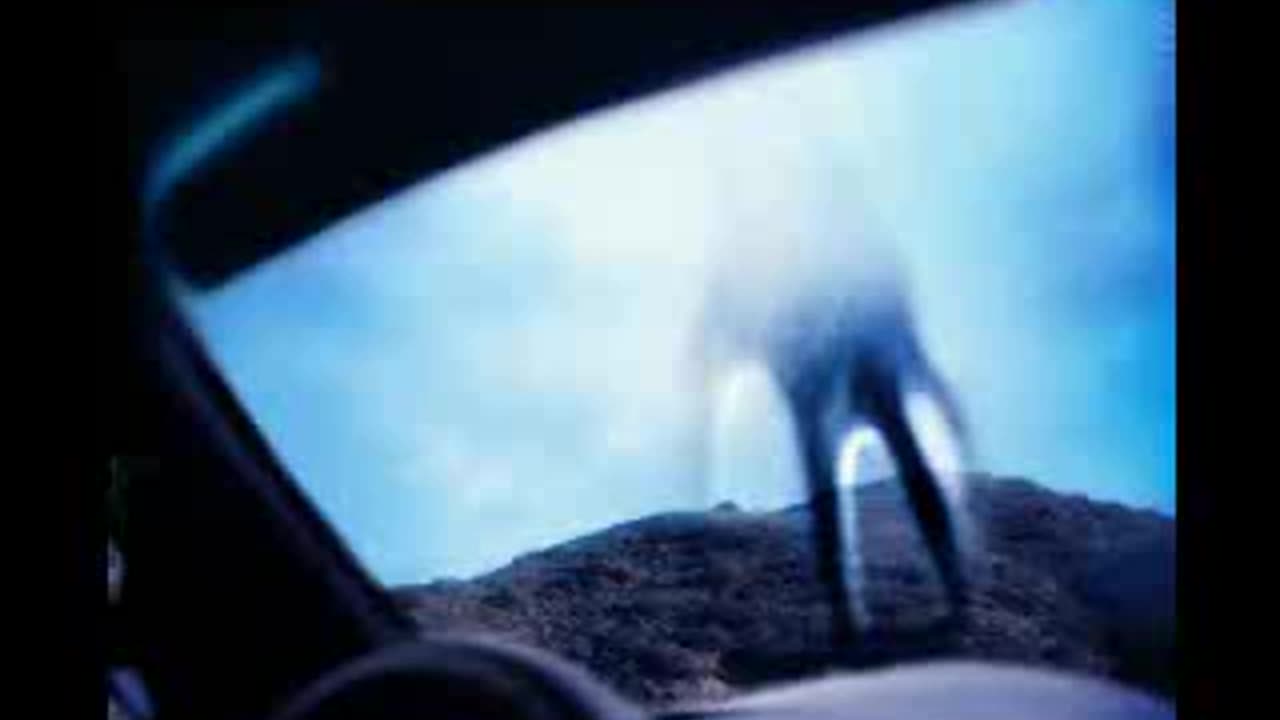 Nine Inch Nails - Zero-Sum