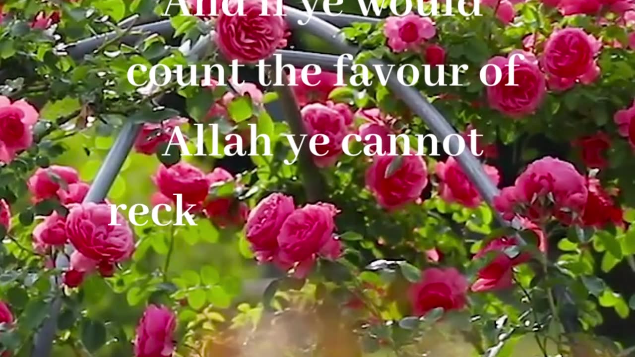 And if ye would count #shorts #quotes #rumblegrumble