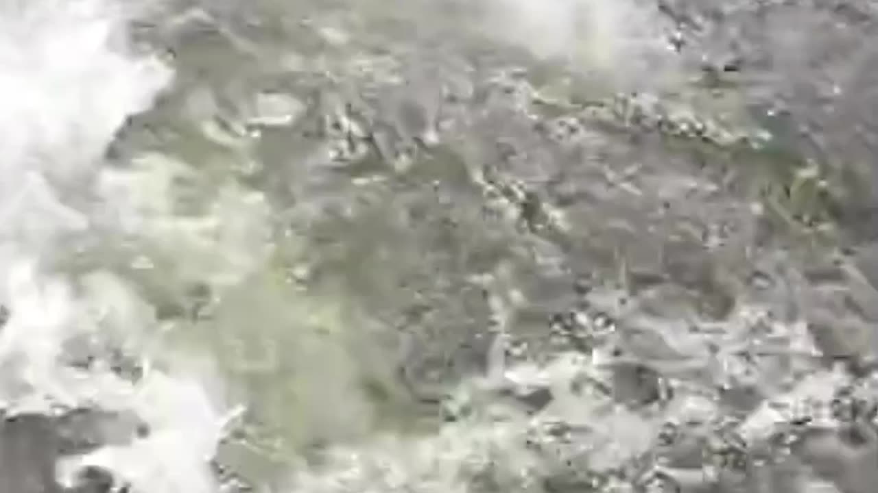 Fishing videos