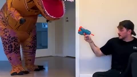 Jurassic park at Home