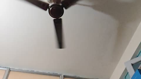 Fan slow mo