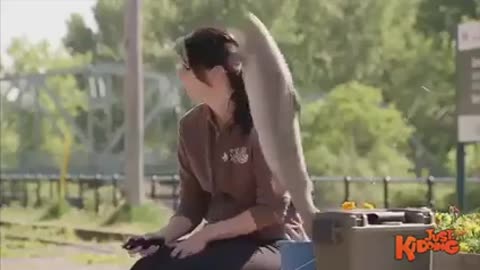 English funny clips video 